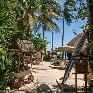Colibri Playa del Carmen