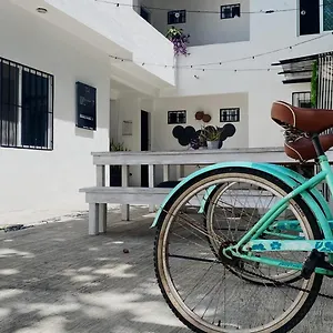 The , Playa del Carmen México